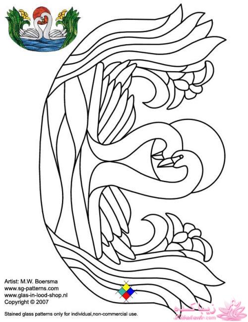 همه چیز در مورد ویترای...